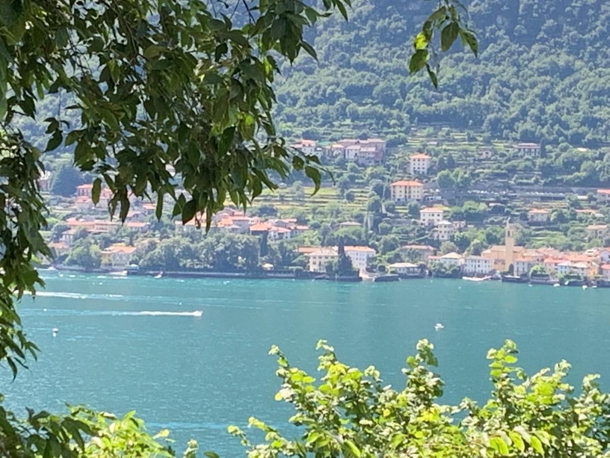 Apartment Casa Dono Il Lago Pognana Lario Exteriör bild