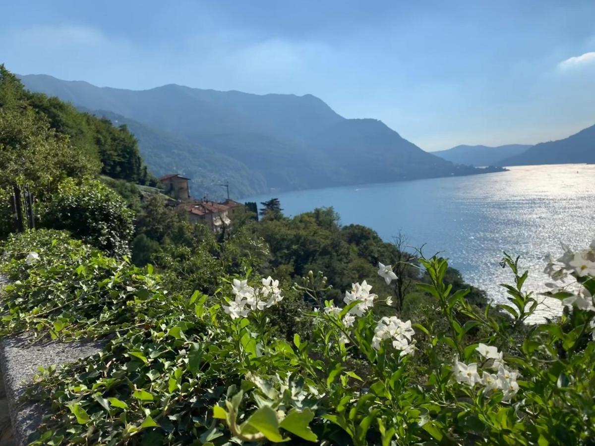 Apartment Casa Dono Il Lago Pognana Lario Exteriör bild