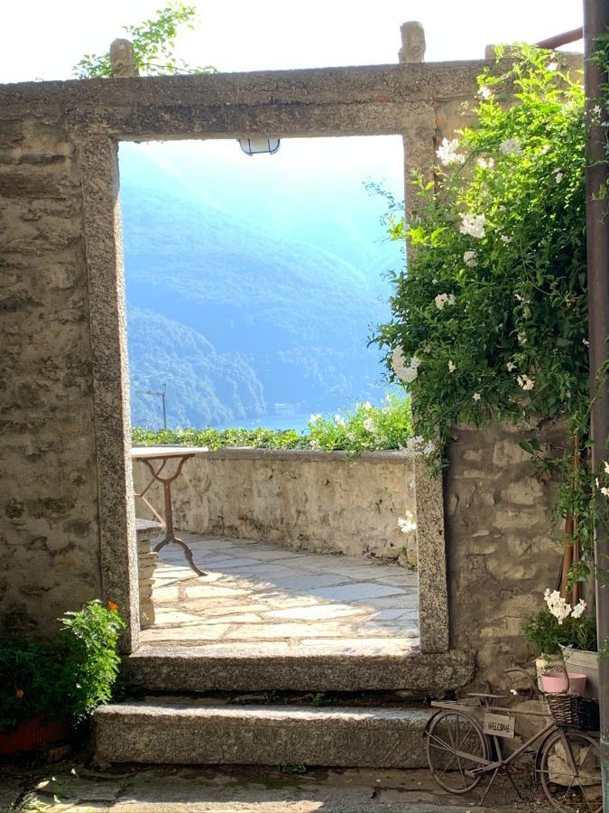 Apartment Casa Dono Il Lago Pognana Lario Exteriör bild